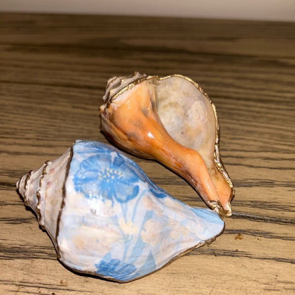 Shell Decor - Picture 3 of 7
